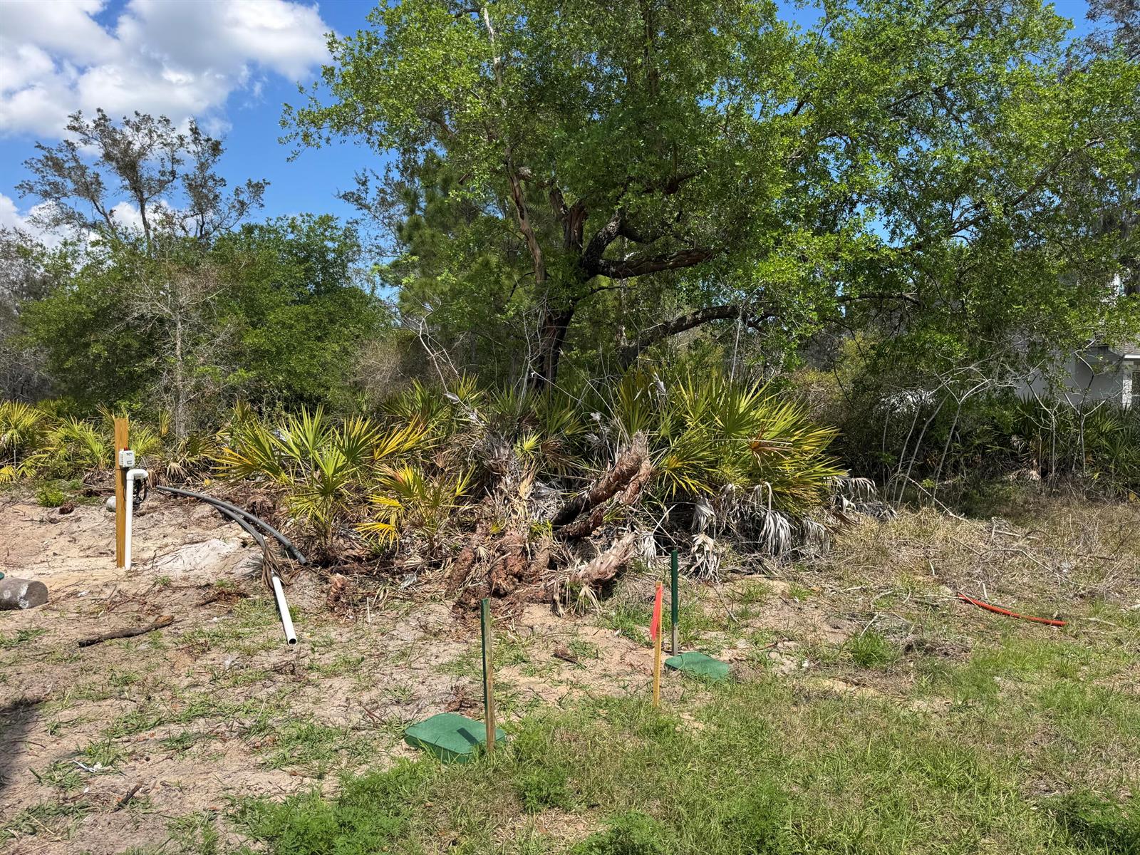   / 0  sq. ft. $ 2026-06-19 0 foto