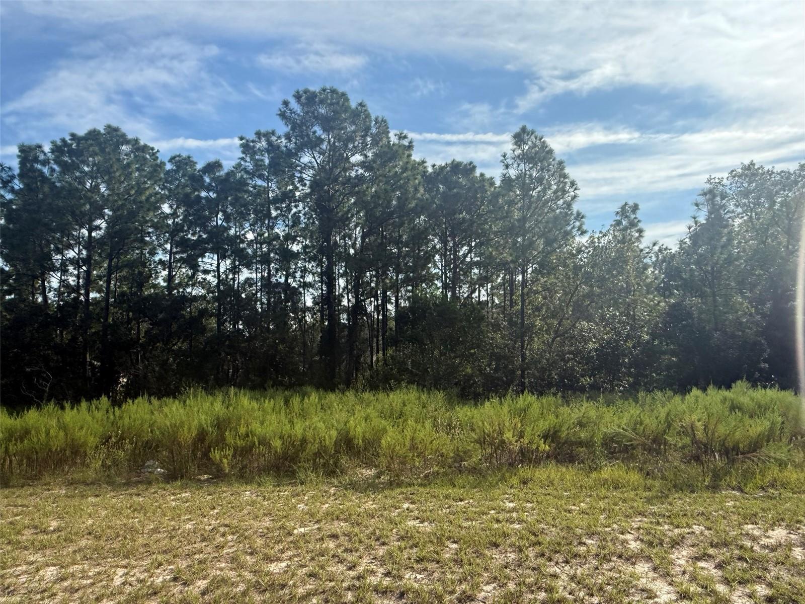   / 0  sq. ft. $ 2026-06-19 0 foto