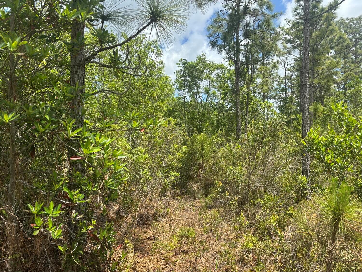 See details / 0 sq. ft. $ 2026-06-19 0 Photo