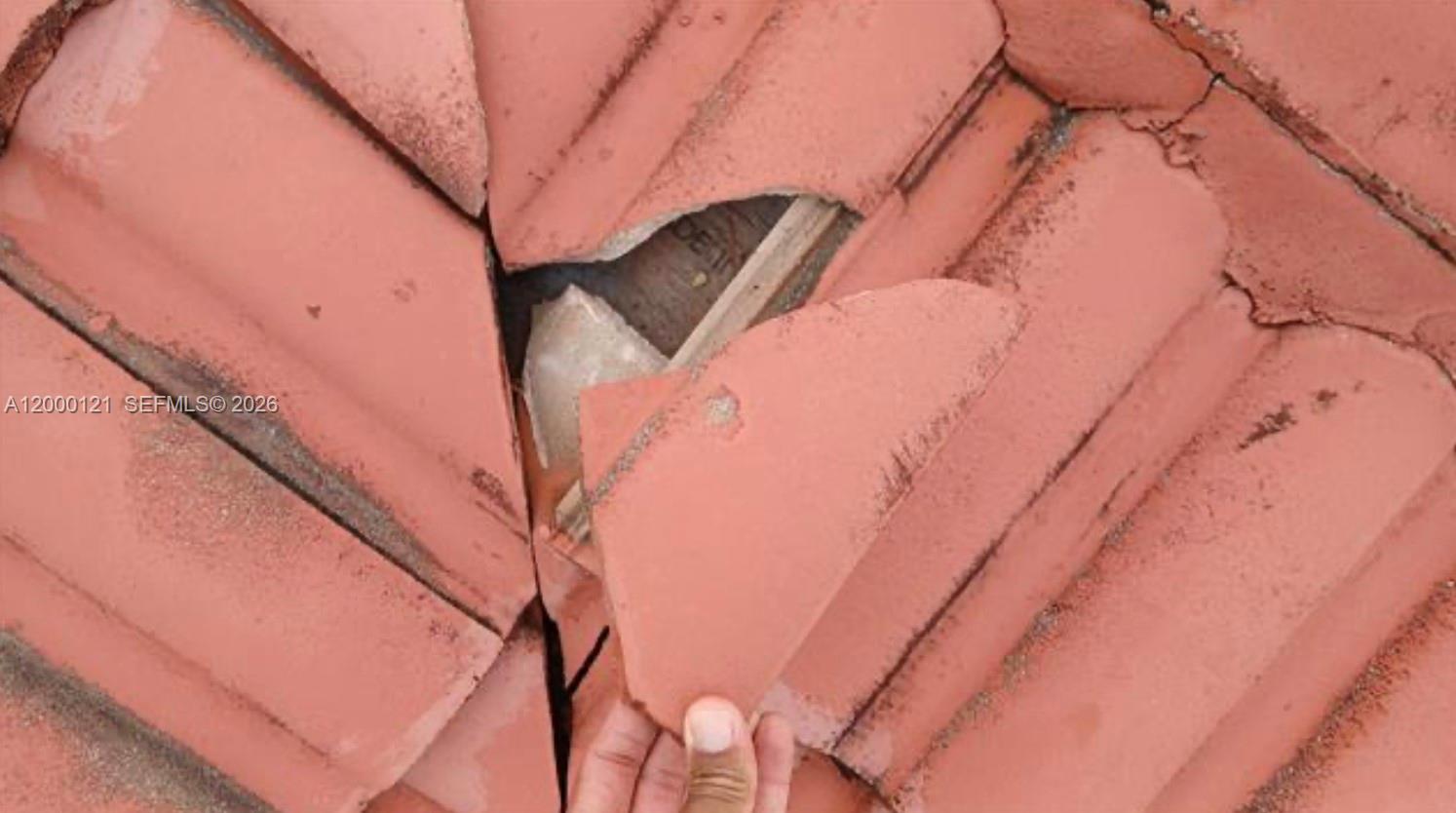 3931 3 / 2 1784 sq. ft. $ 2026-04-13 0 Photo