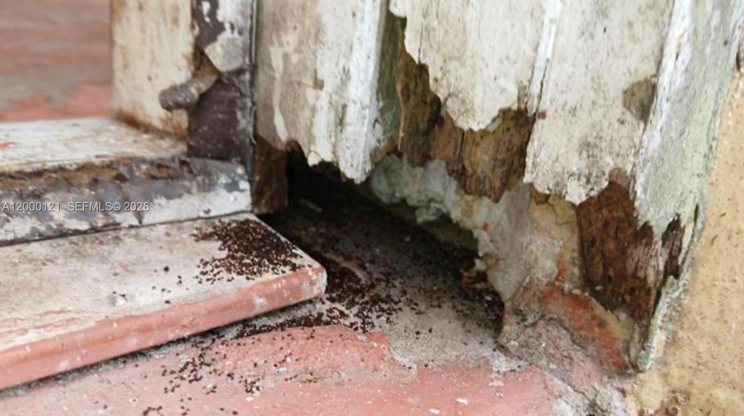 3931 3 / 2 1784 sq. ft. $ 2026-04-13 0 Photo