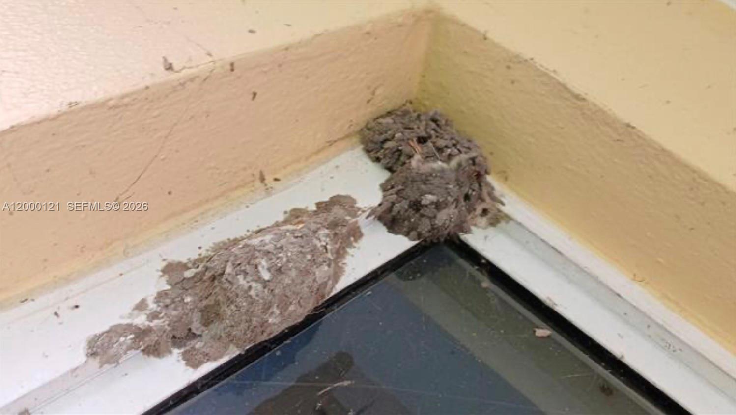 3931 3 / 2 1784 sq. ft. $ 2026-04-13 0 Photo