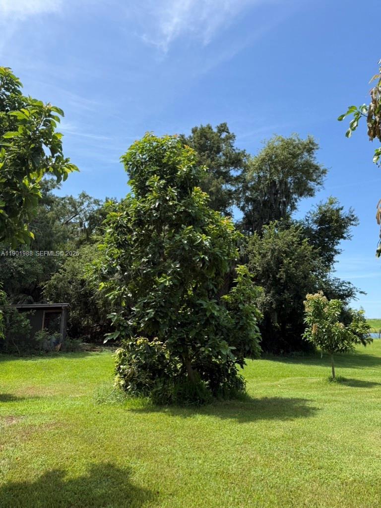 Ver detalles / 0 sq. ft. $ 2026-06-15 0 foto