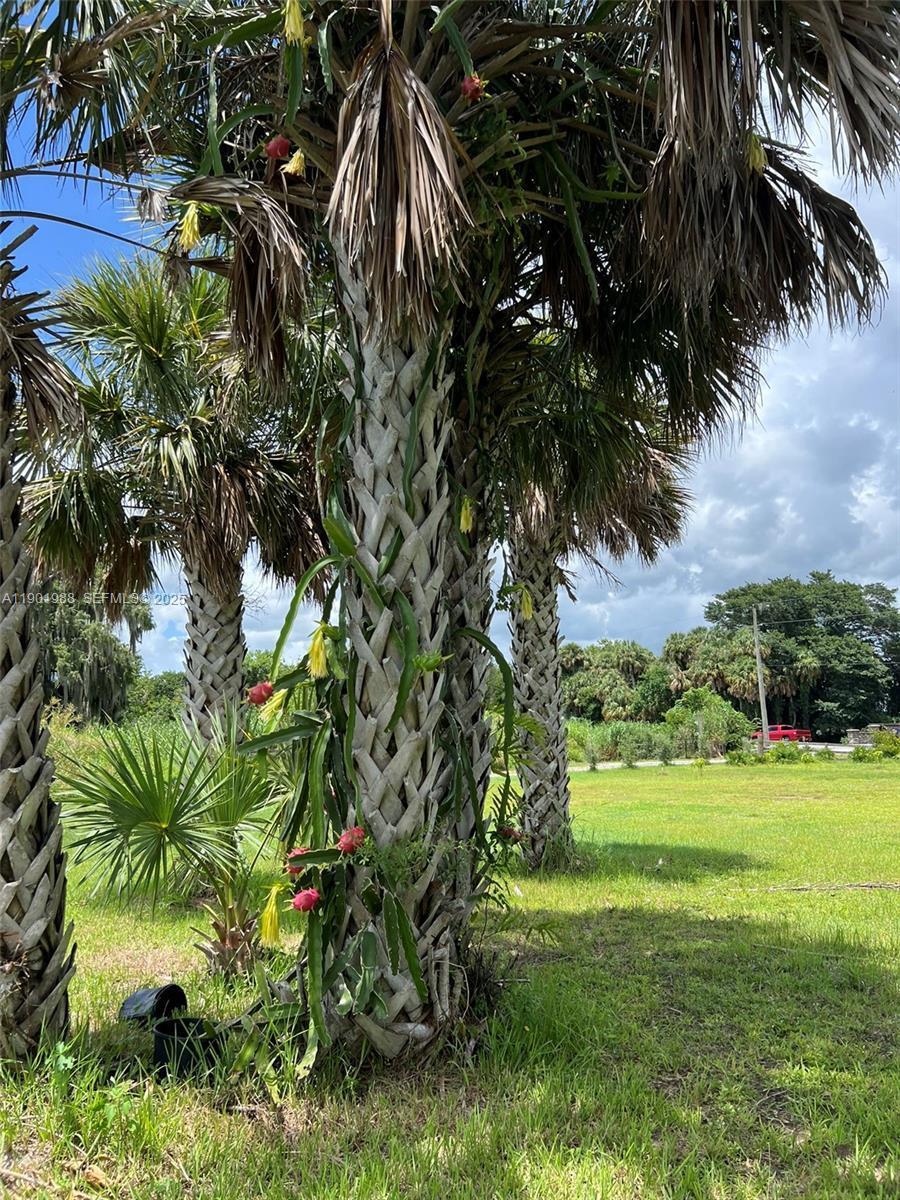 Ver detalles / 0 sq. ft. $ 2026-06-15 0 foto