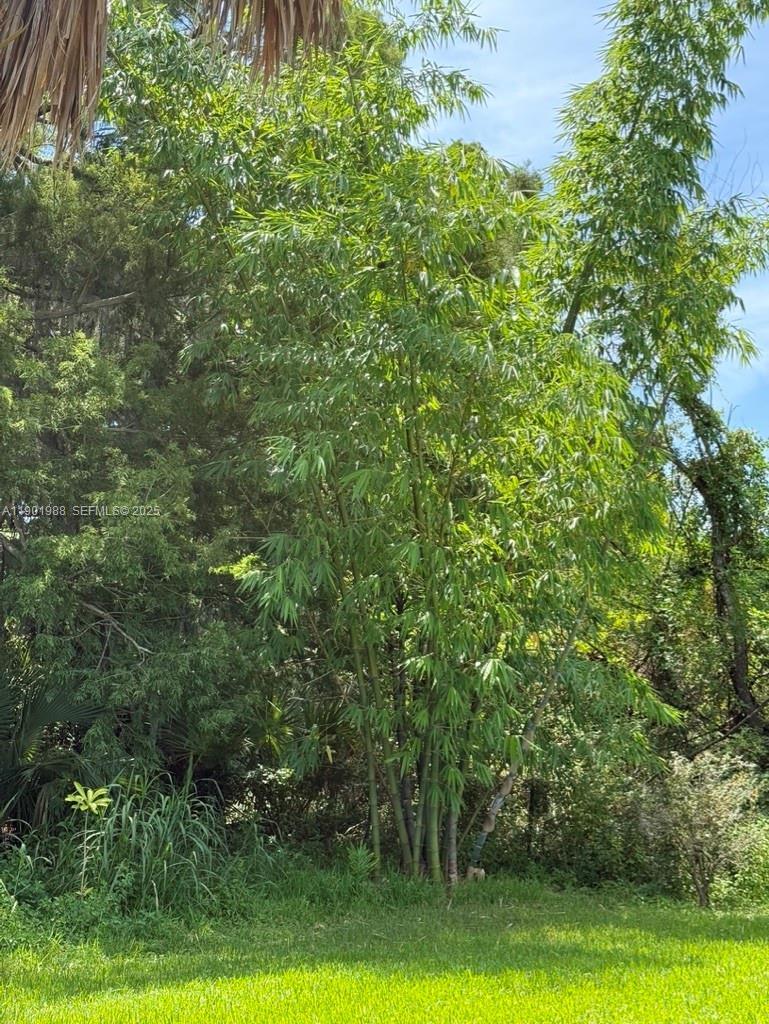 Ver detalles / 0 sq. ft. $ 2026-06-15 0 foto