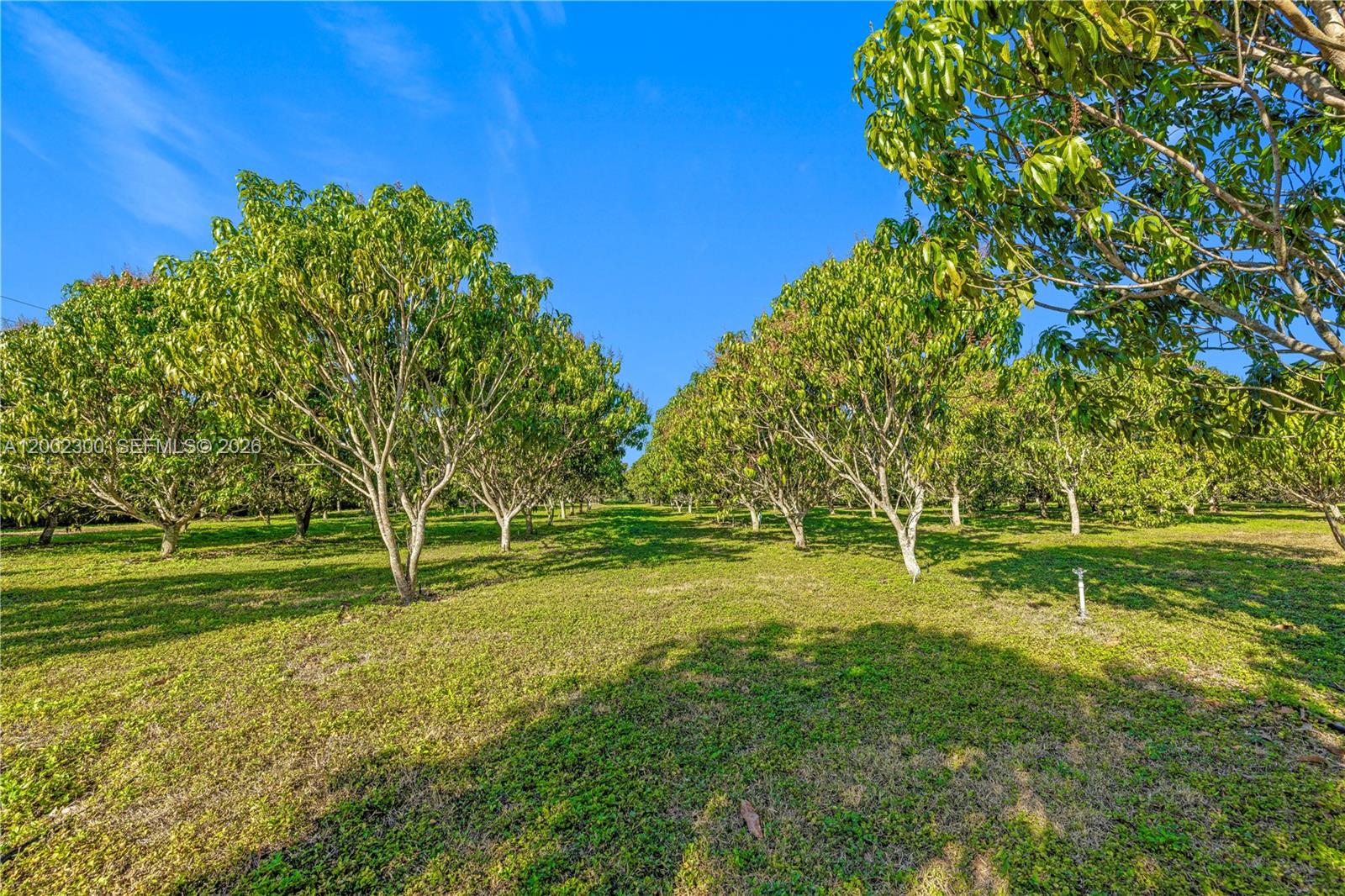   /   sq. ft. $ 2026-04-16 0 Photo