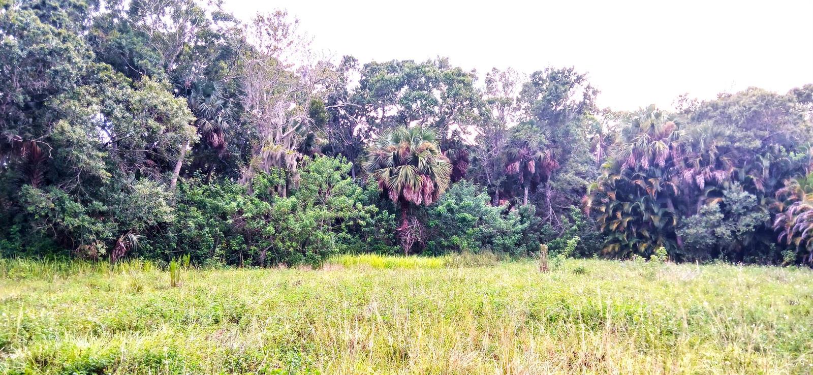   / 0  sq. ft. $ 2026-06-15 0 foto