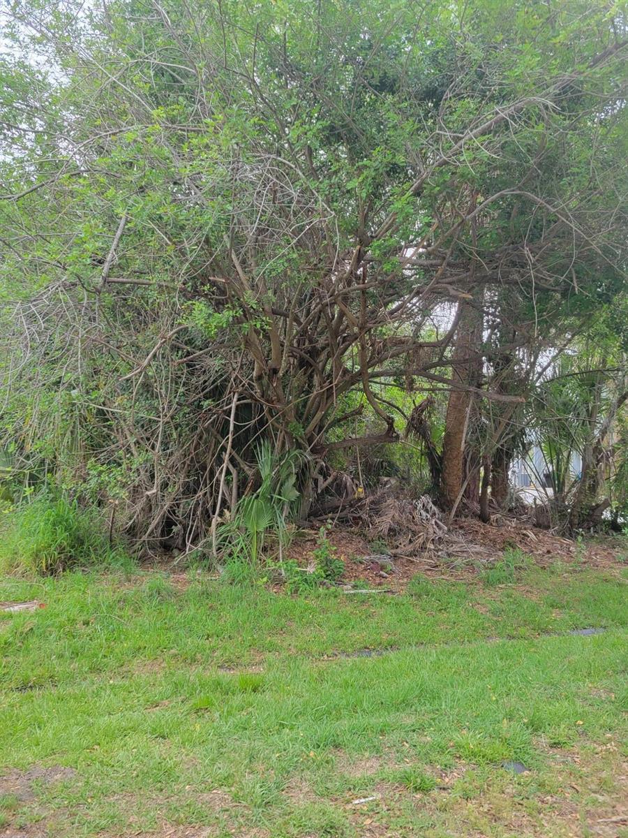 Ver detalles / 0 sq. ft. $ 2026-06-20 0 foto