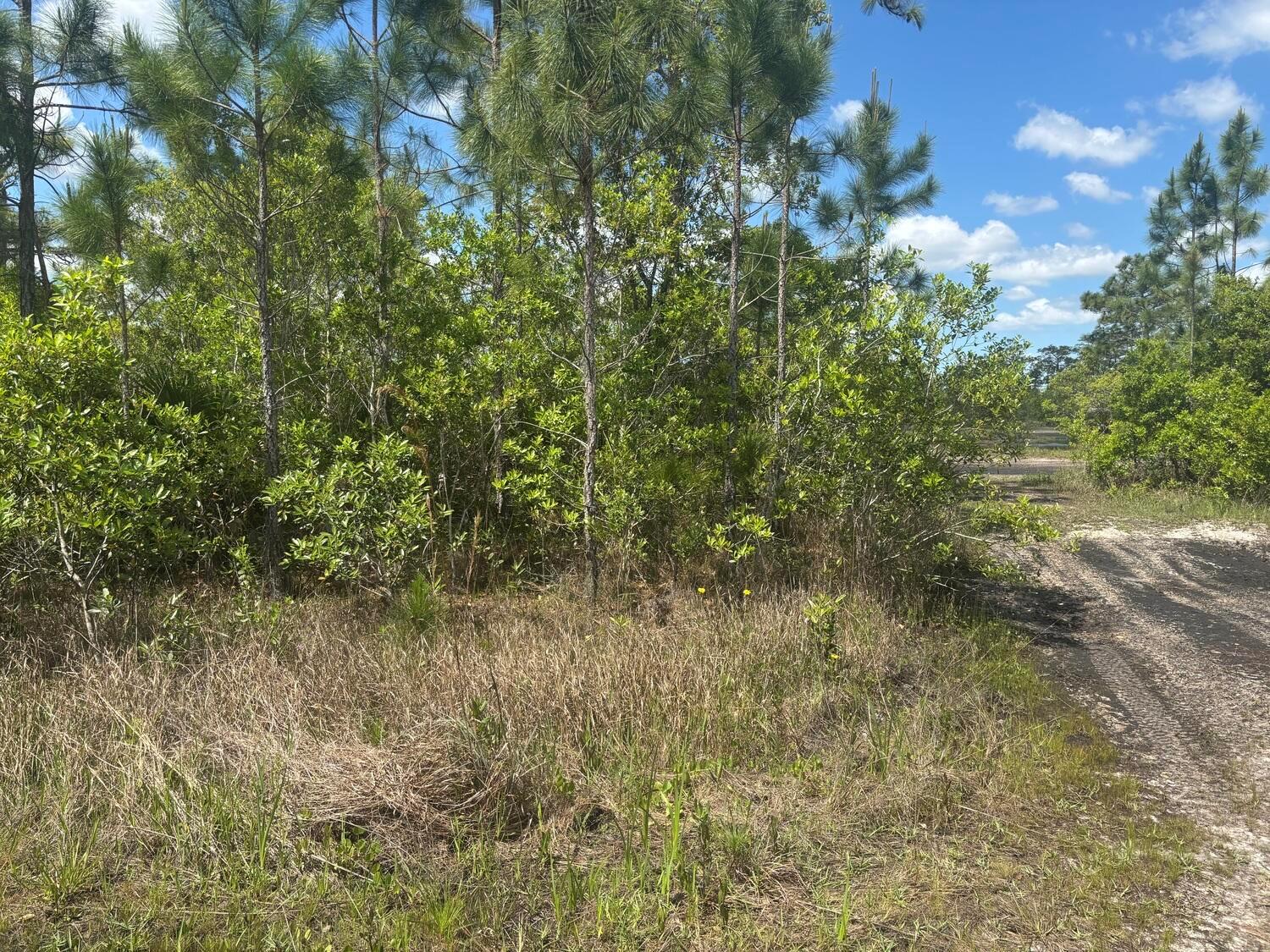 Ver detalles / 0 sq. ft. $ 2026-06-19 0 foto