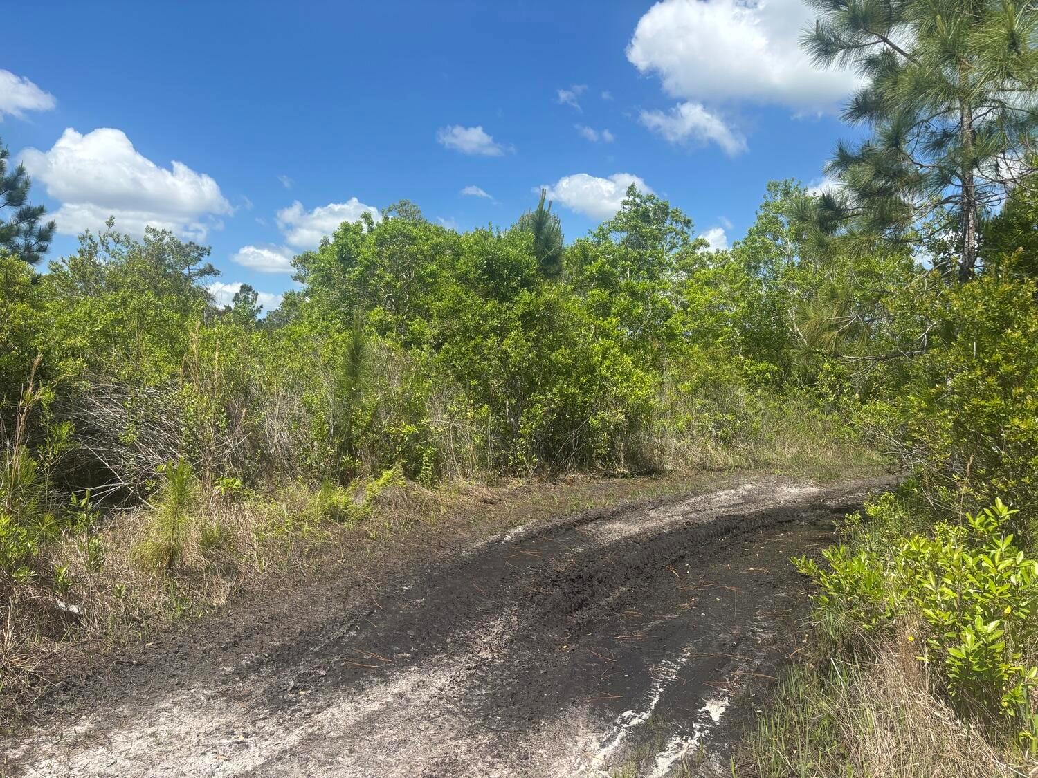   / 0  sq. ft. $ 2026-06-19 0 Photo