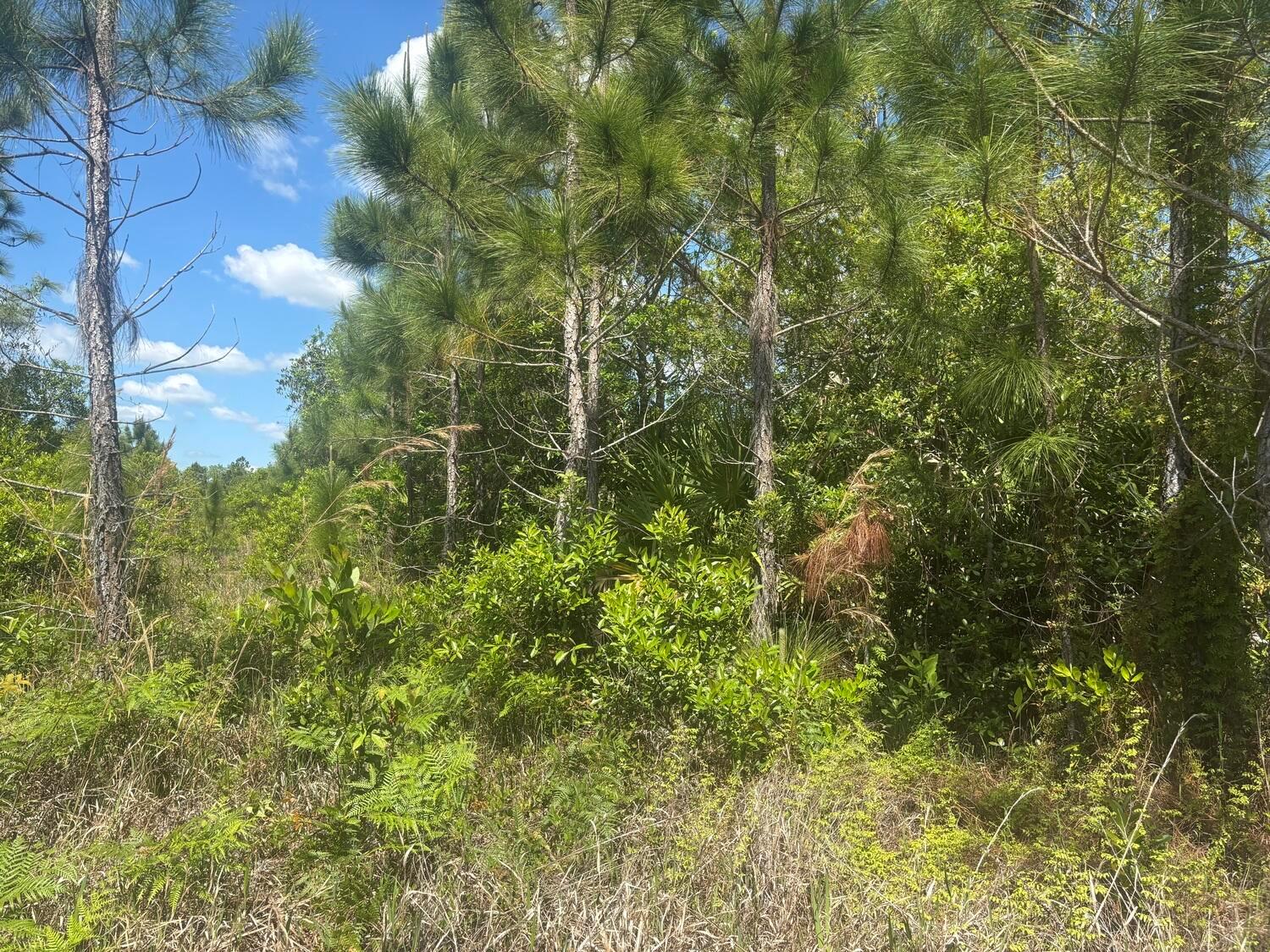   / 0  sq. ft. $ 2026-06-19 0 Photo