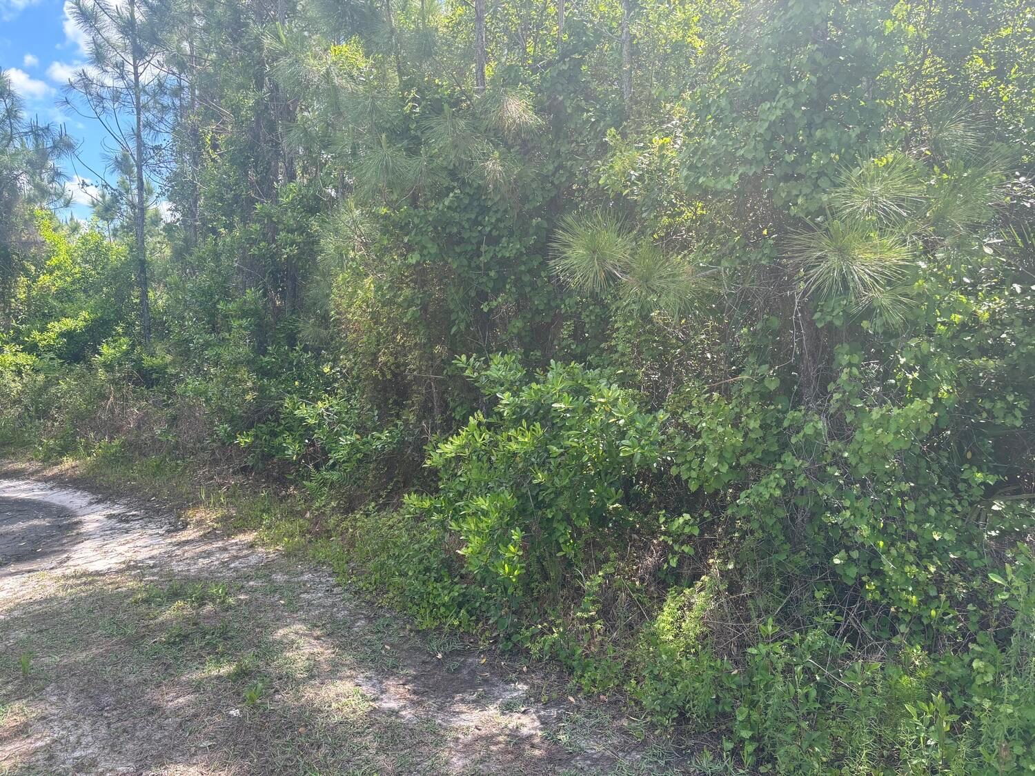  / 0  sq. ft. $ 2026-06-19 0 foto