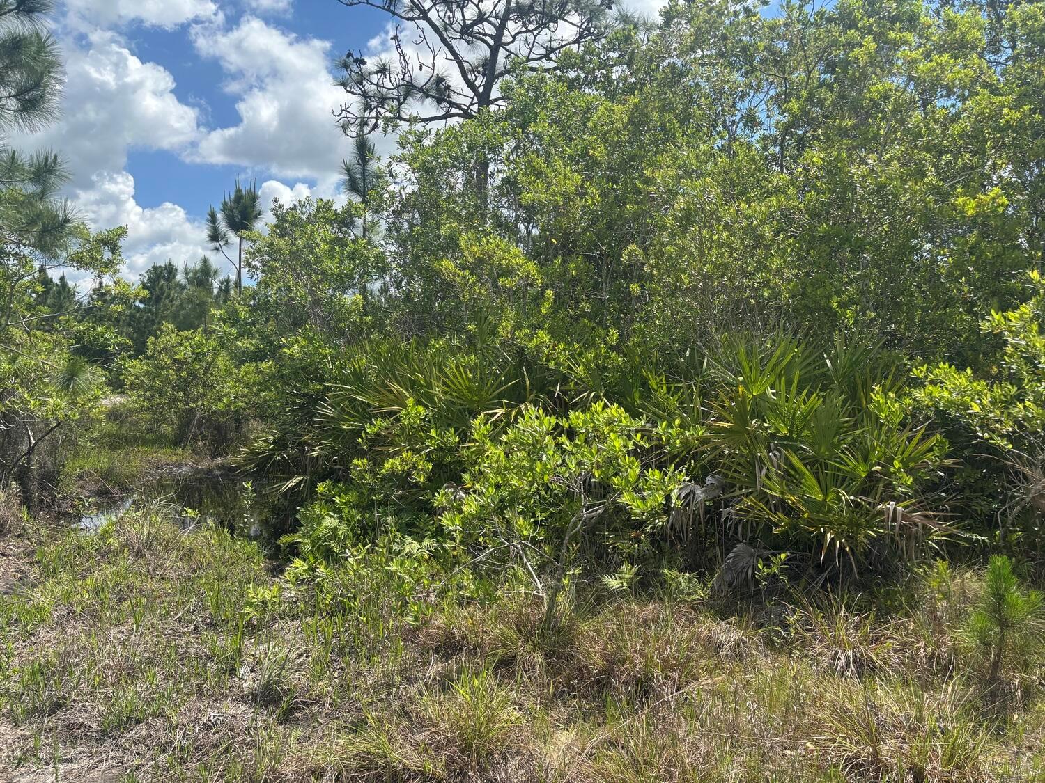   / 0  sq. ft. $ 2026-06-19 0 foto