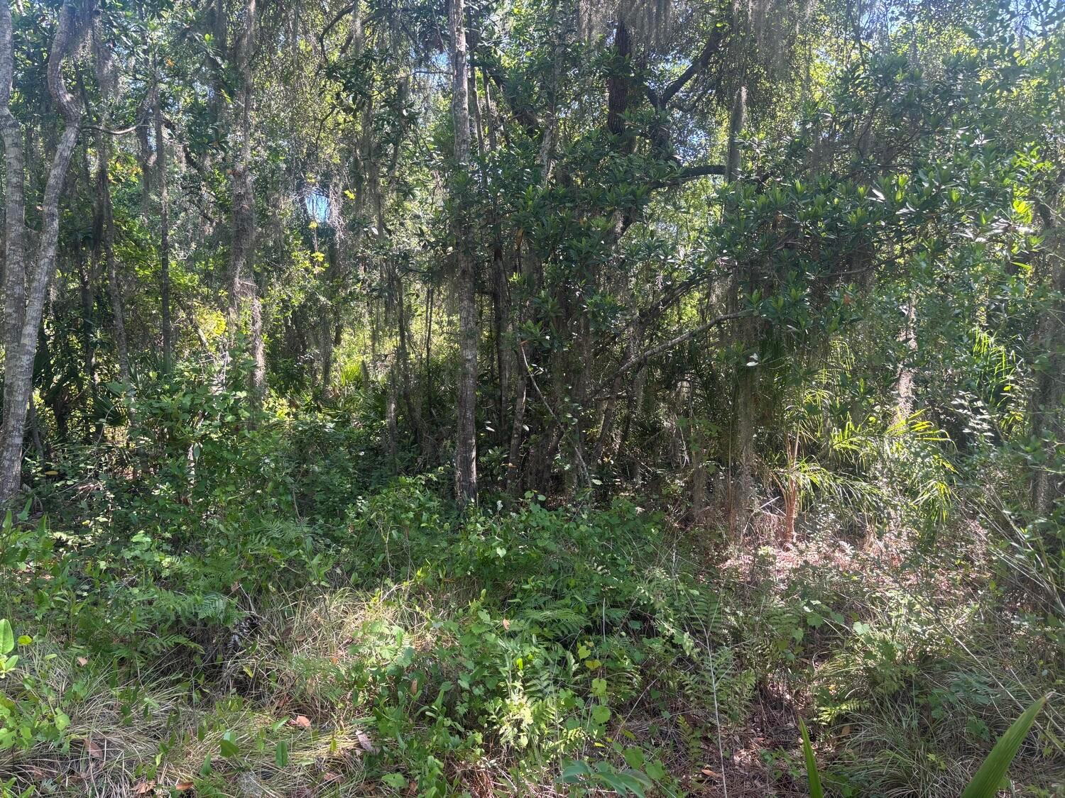   / 0  sq. ft. $ 2026-05-04 0 foto