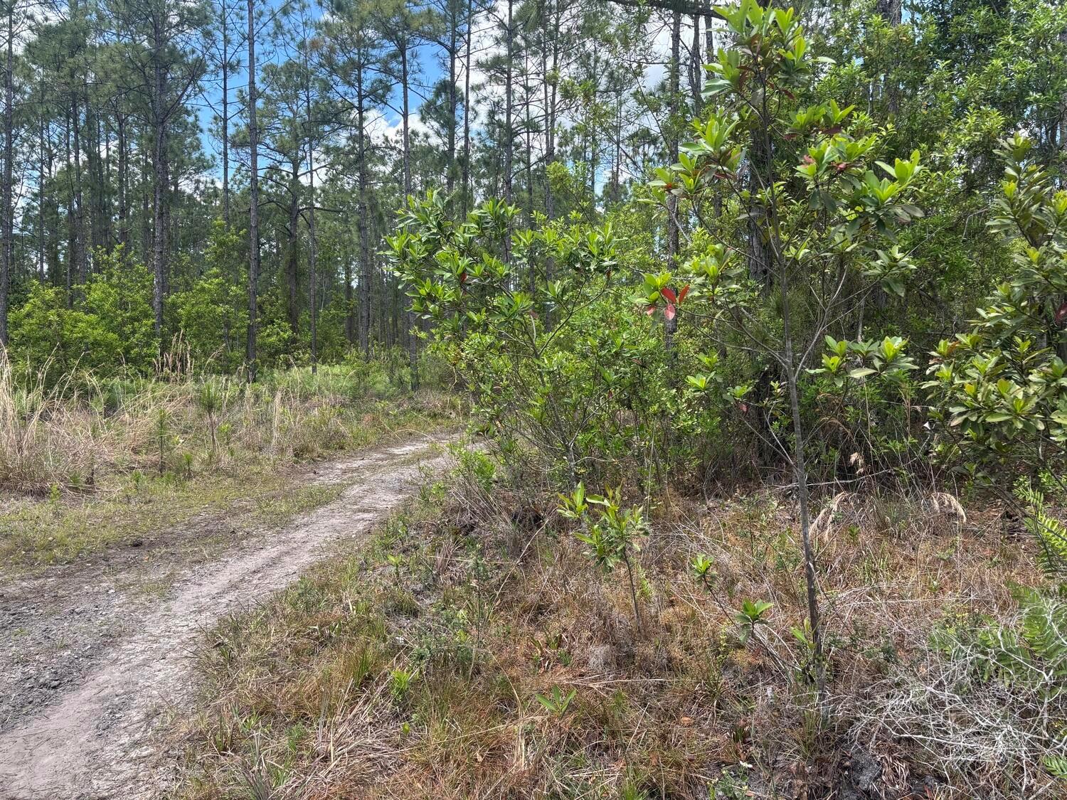 See details / 0 sq. ft. $ 2026-06-19 0 Photo