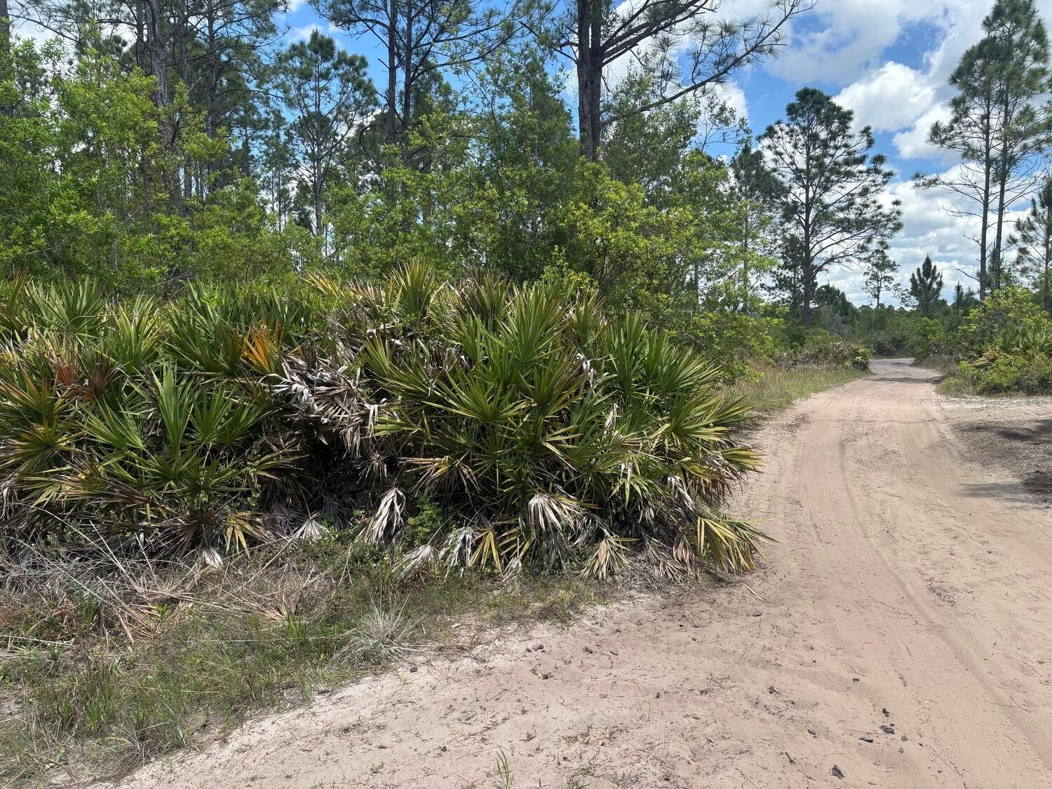 See details / 0 sq. ft. $ 2026-06-19 0 Photo