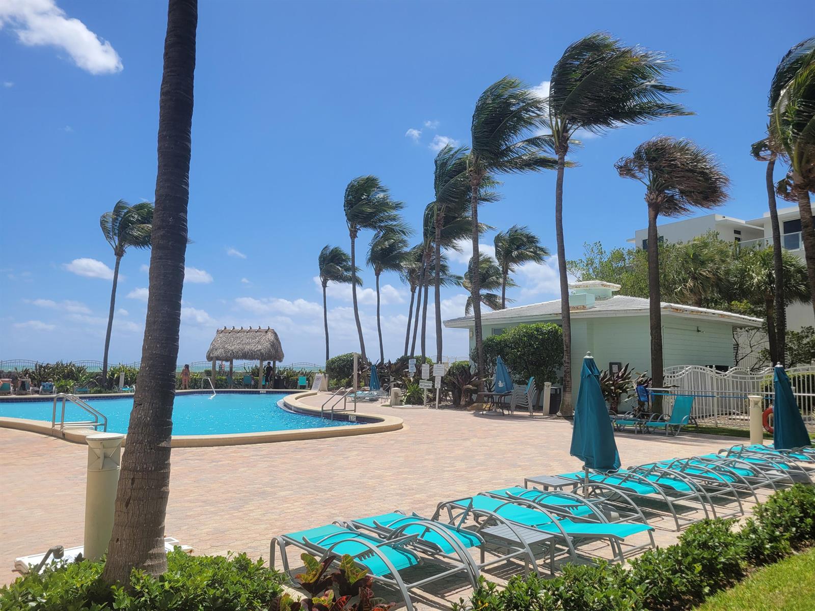 Photo of 3901 Ocean #12t, Hollywood, Florida, 33019 - 20260421_122339