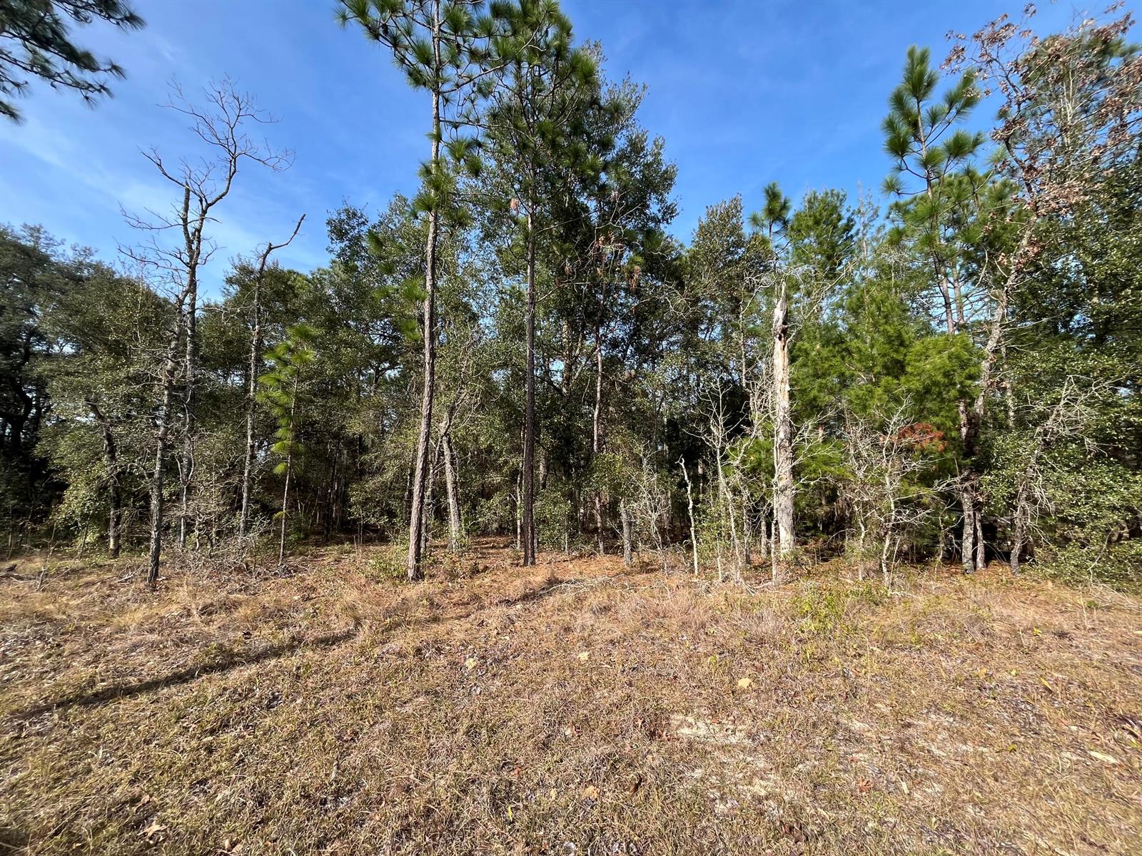   / 0  sq. ft. $ 2026-06-19 0 foto
