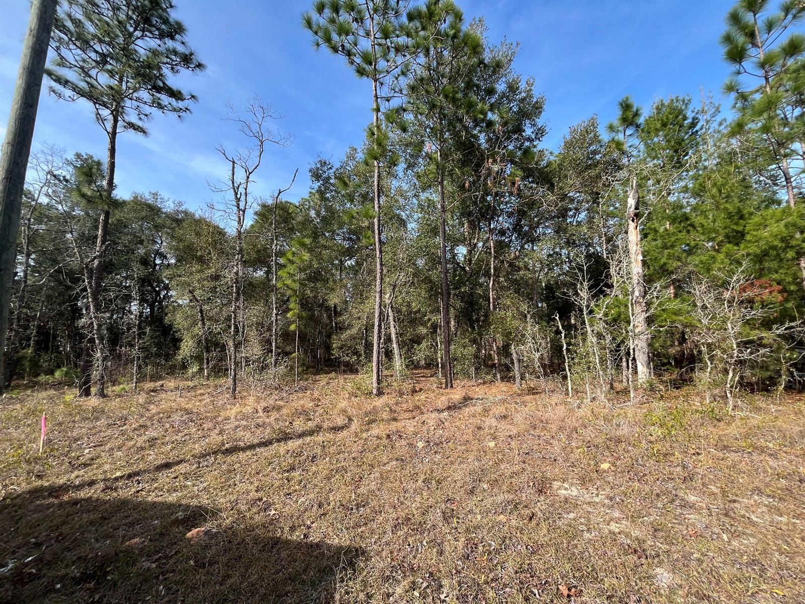   / 0  sq. ft. $ 2026-06-19 0 foto