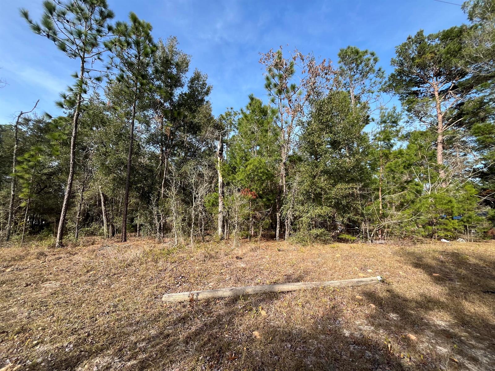   / 0  sq. ft. $ 2026-06-19 0 foto