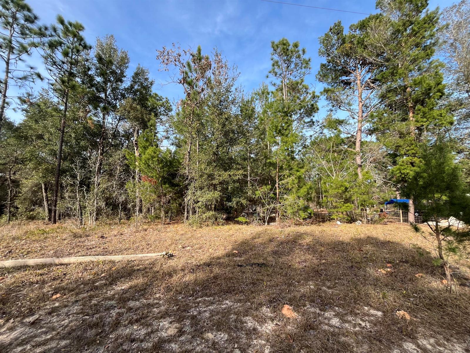   / 0  sq. ft. $ 2026-06-19 0 foto