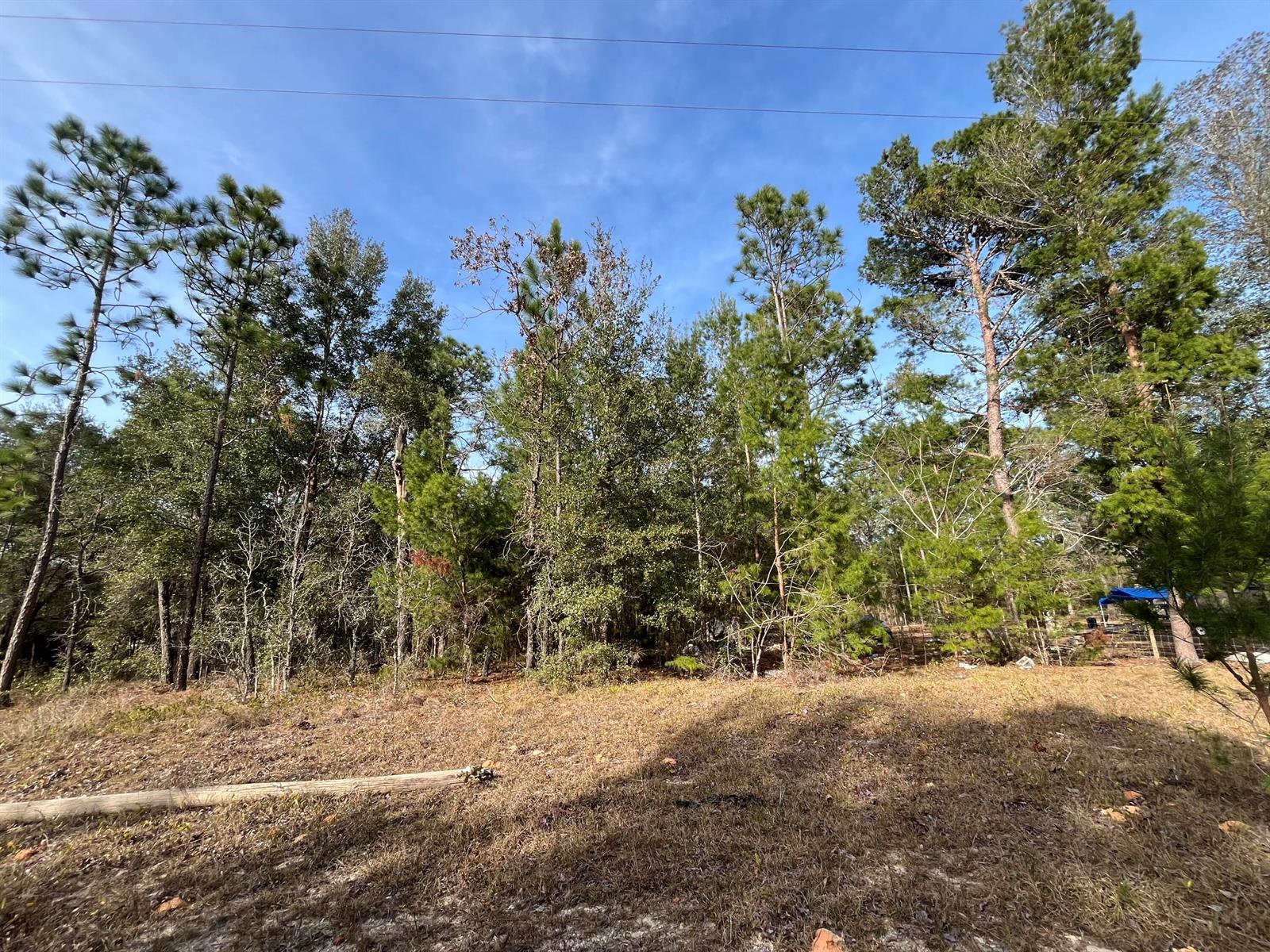   / 0  sq. ft. $ 2026-06-19 0 foto