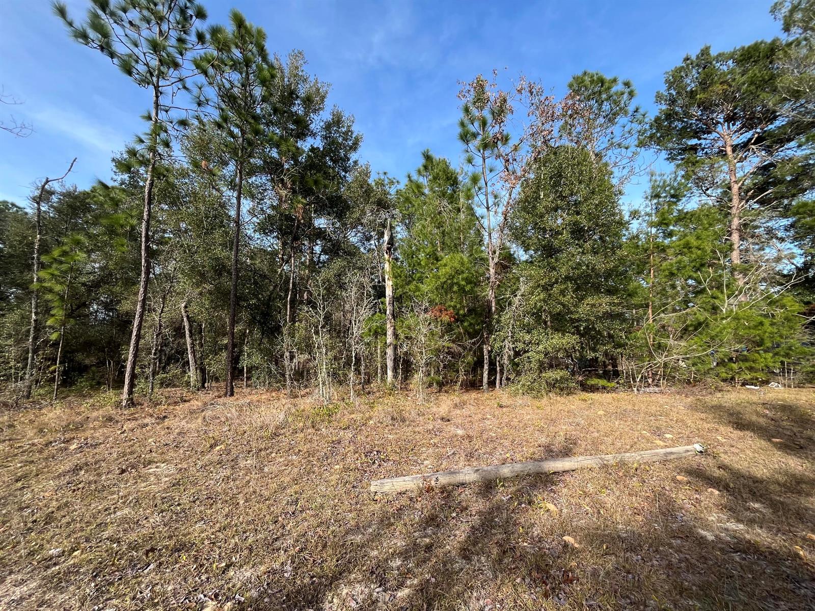   / 0  sq. ft. $ 2026-06-19 0 foto