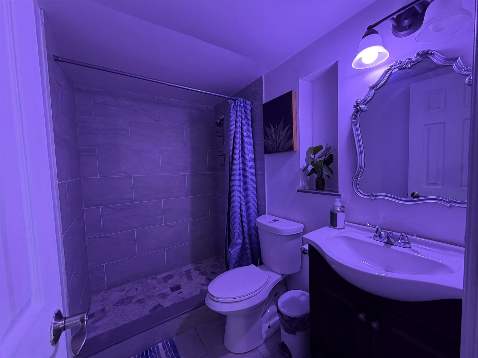 Ver detalles 1117 6 / 4 1532 sq. ft. $ 2026-06-30 0 foto