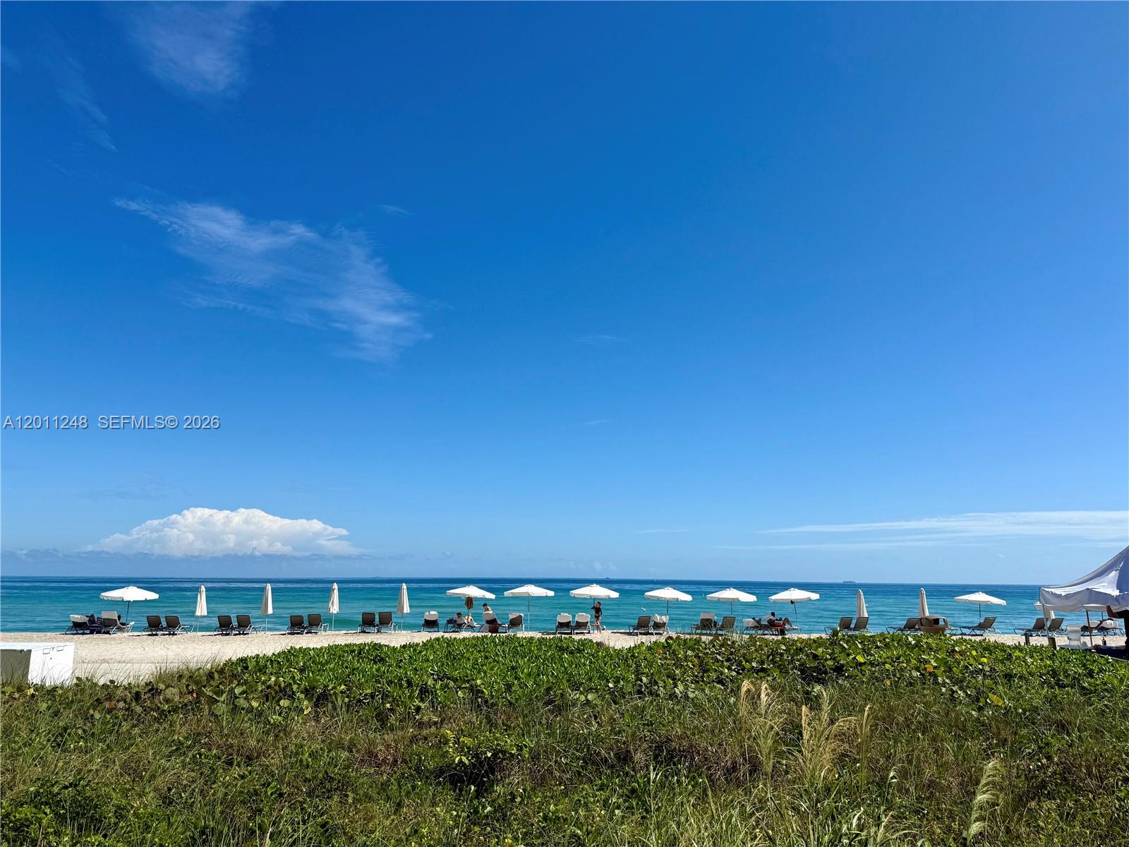 1206 3 / 4 2327 sq. ft. $ 2026-05-01 0 Photo