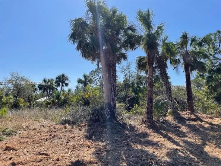 See details / sq. ft. $ 2026-05-05 0 Photo