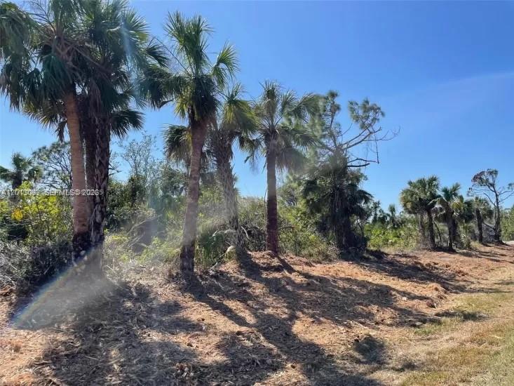 See details / sq. ft. $ 2026-05-05 0 Photo