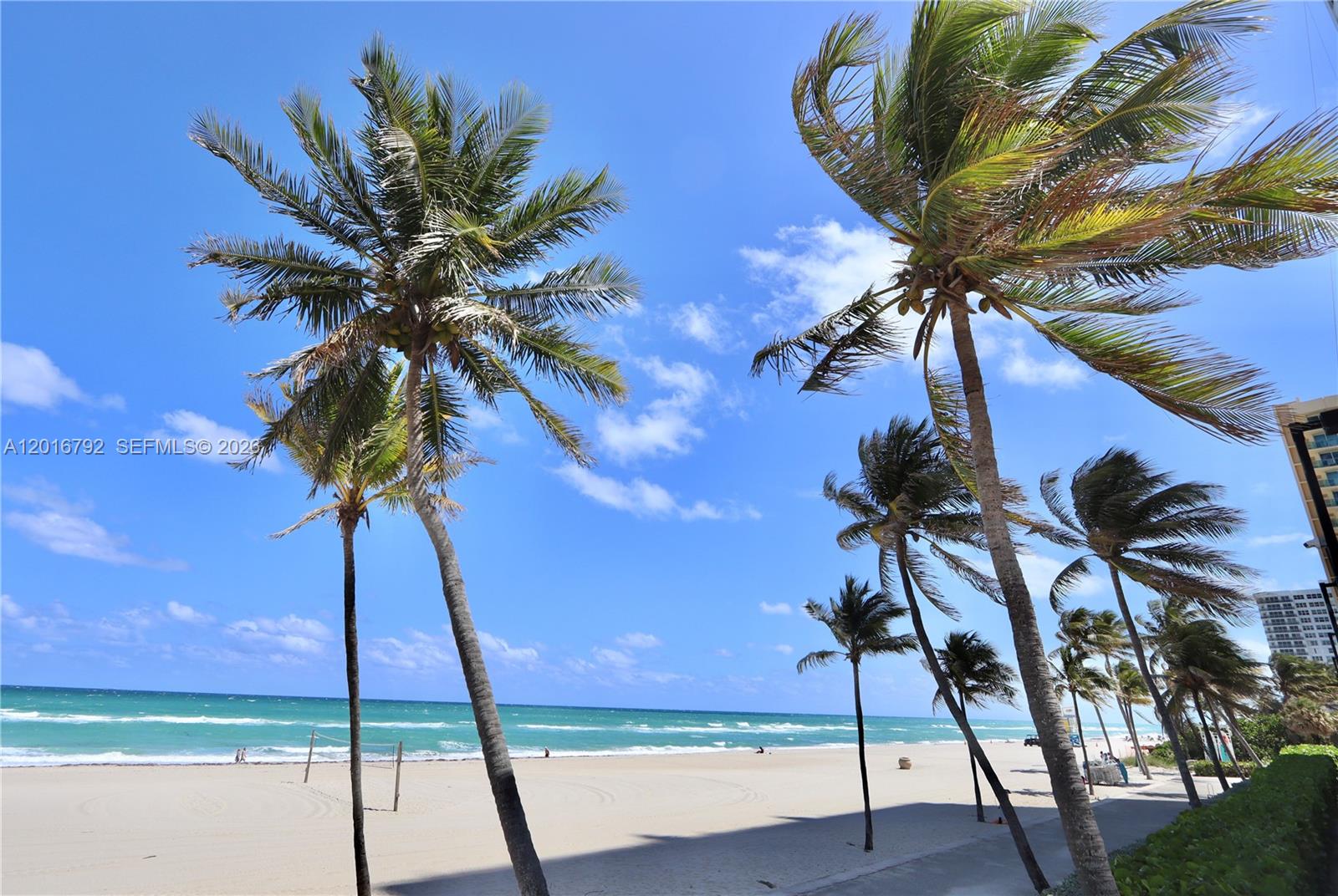 Photo of 2401 Ocean Dr #806, Hollywood, Florida, 33019 -