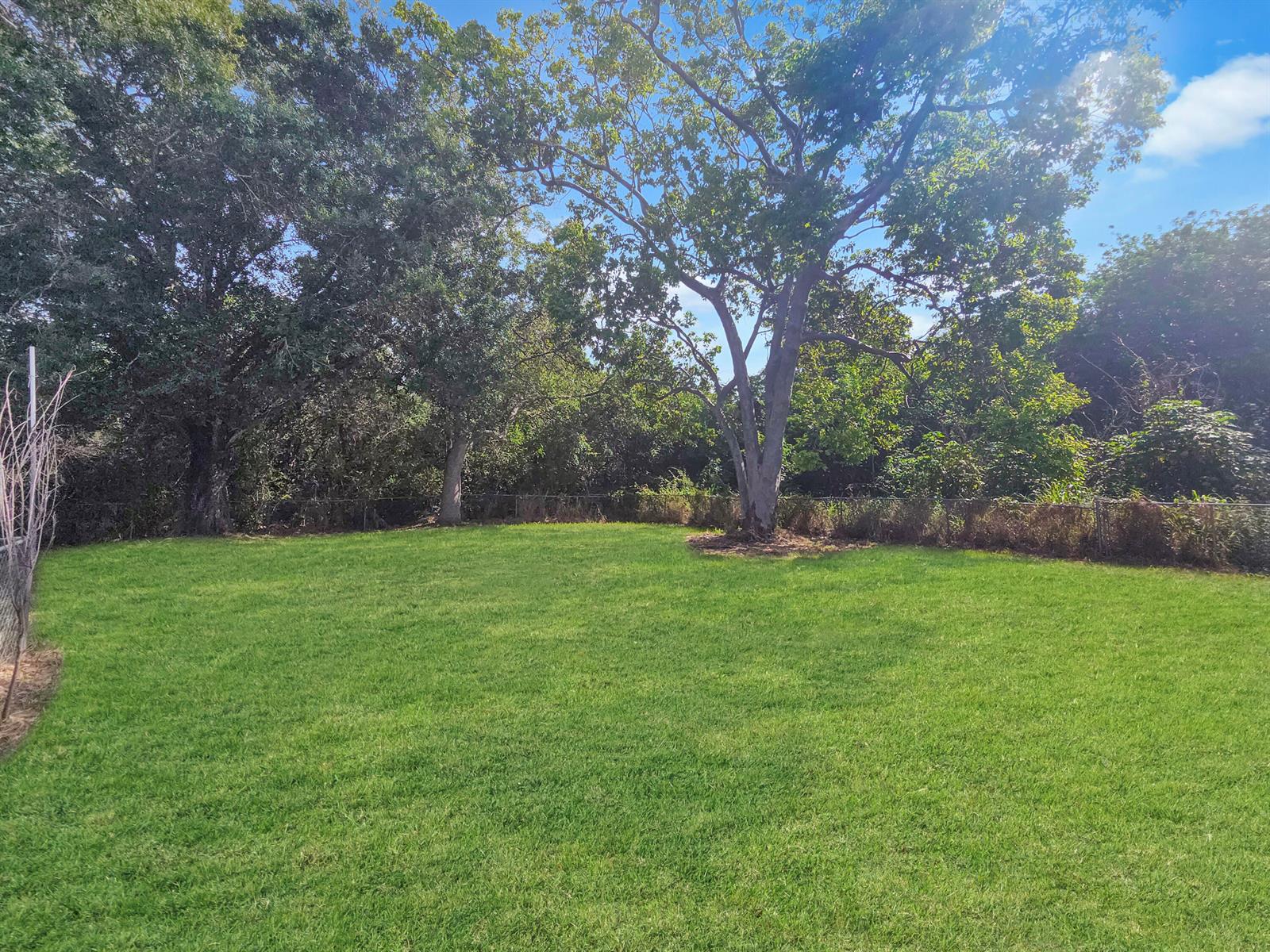   / 0 1500 sq. ft. $ 2026-06-05 0 foto