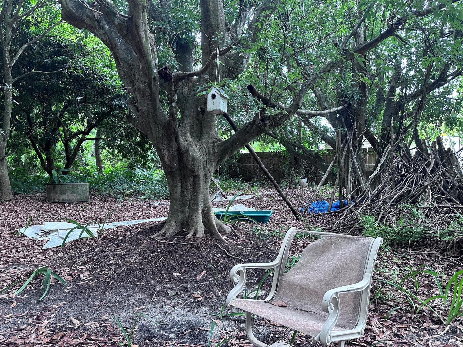   / 0  sq. ft. $ 2026-06-15 0 foto