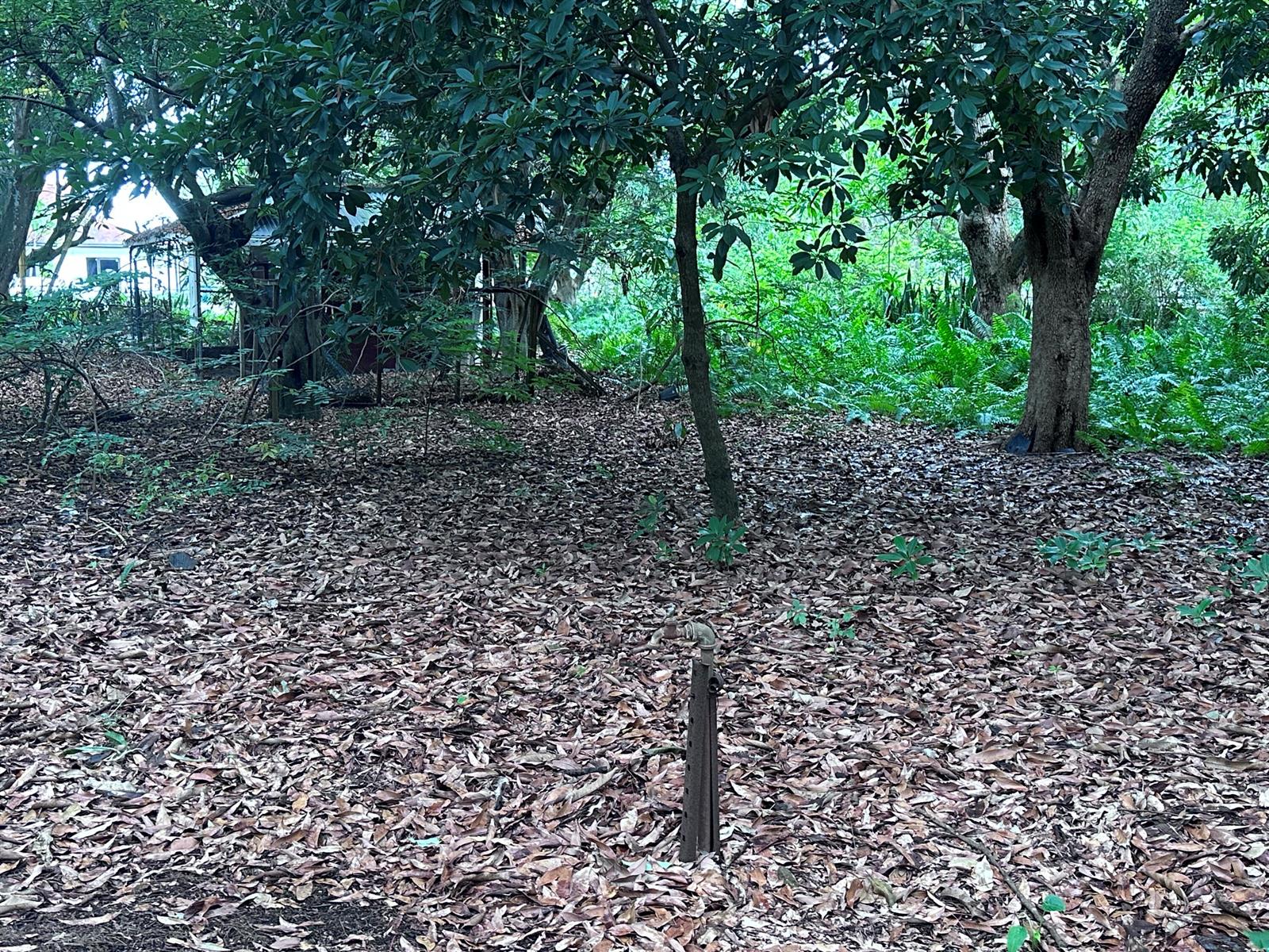   / 0  sq. ft. $ 2026-06-15 0 foto