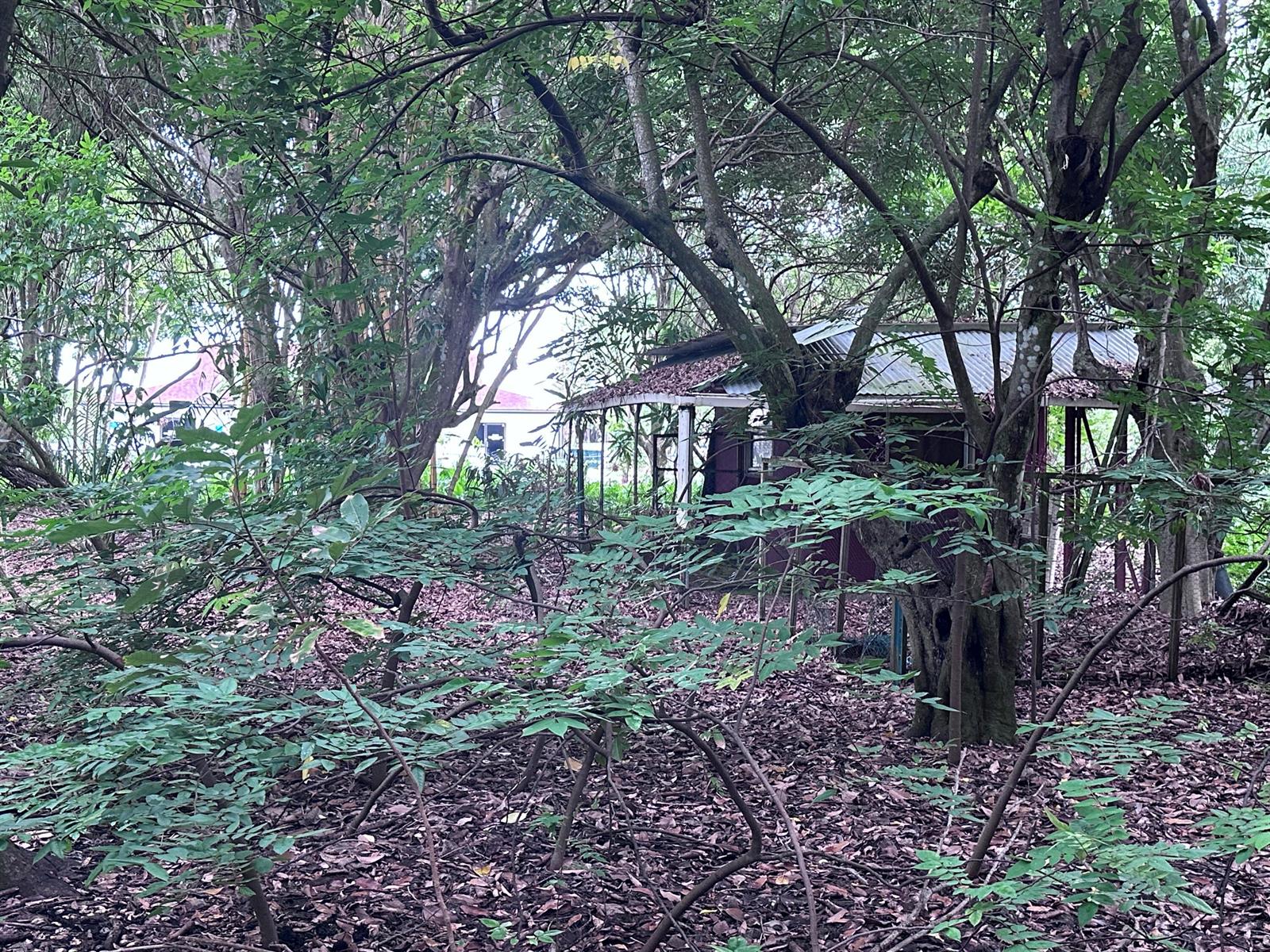   / 0  sq. ft. $ 2026-06-15 0 foto