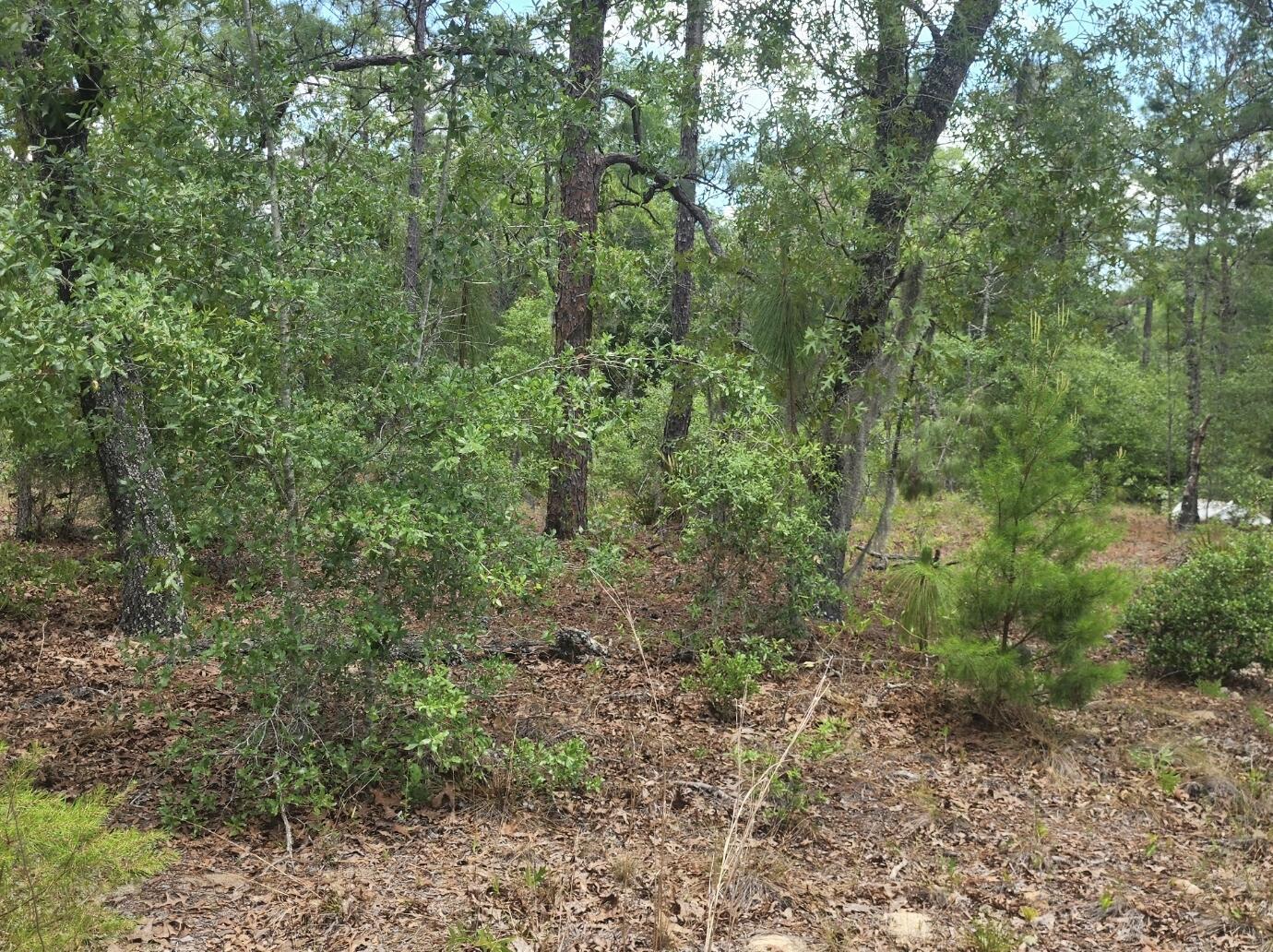   / 0  sq. ft. $ 2026-06-19 0 Photo