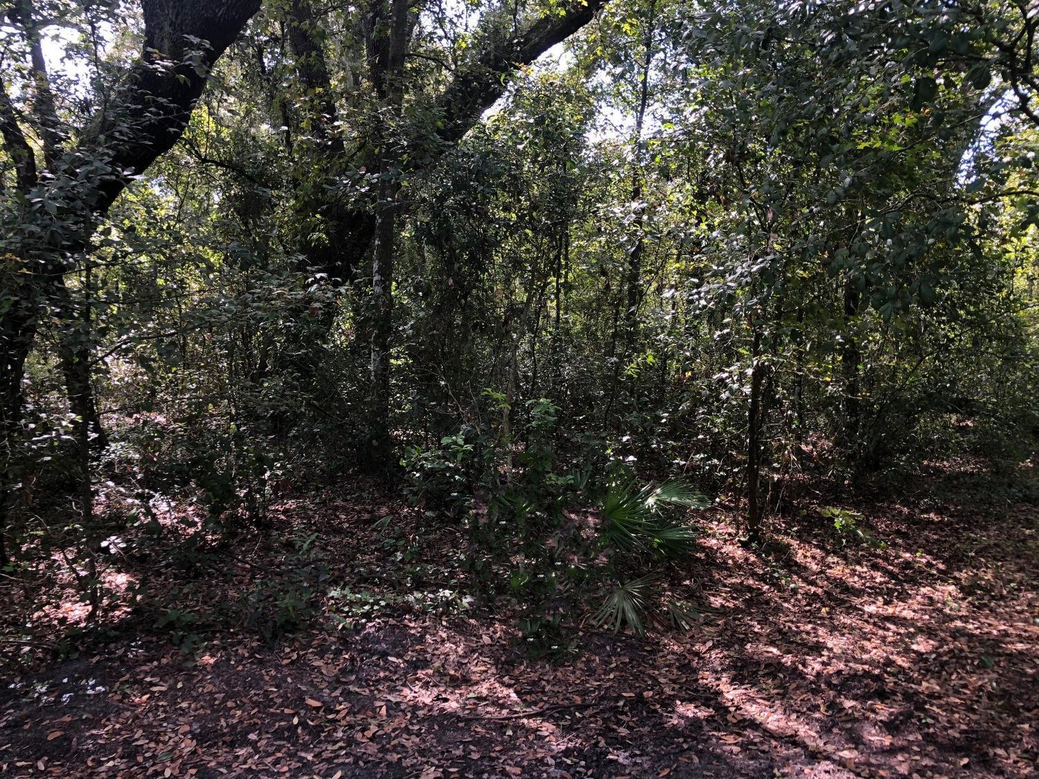   / 0  sq. ft. $ 2026-06-19 0 foto