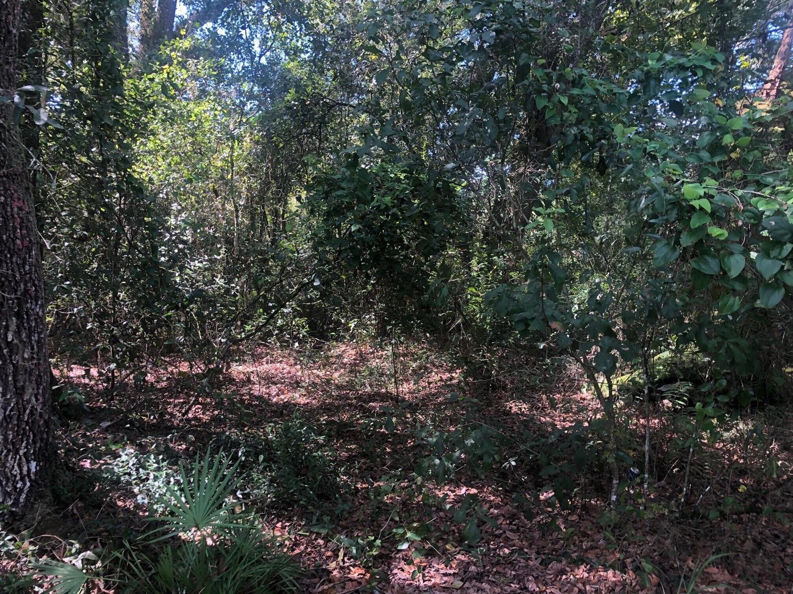   / 0  sq. ft. $ 2026-06-19 0 foto