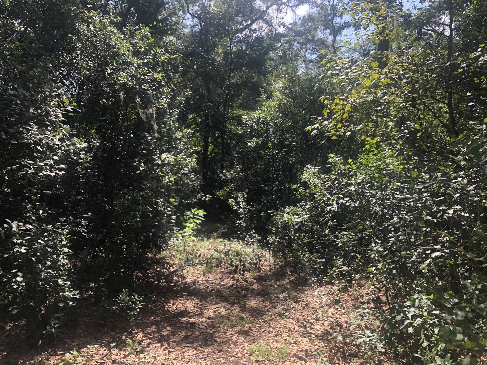   / 0  sq. ft. $ 2026-06-19 0 foto