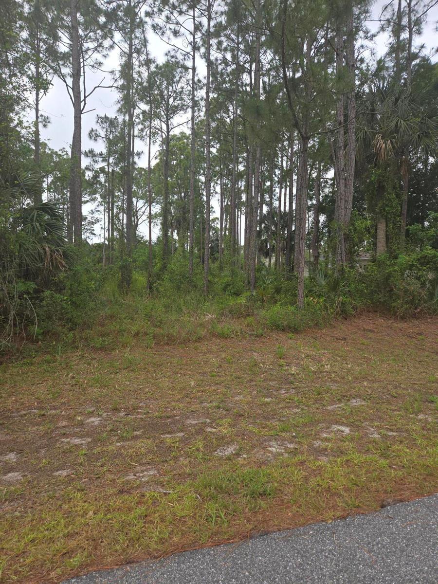   / 0  sq. ft. $ 2026-06-15 0 foto