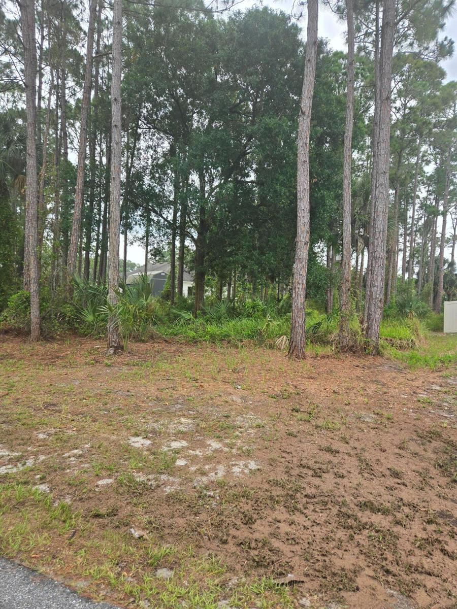   / 0  sq. ft. $ 2026-06-15 0 foto