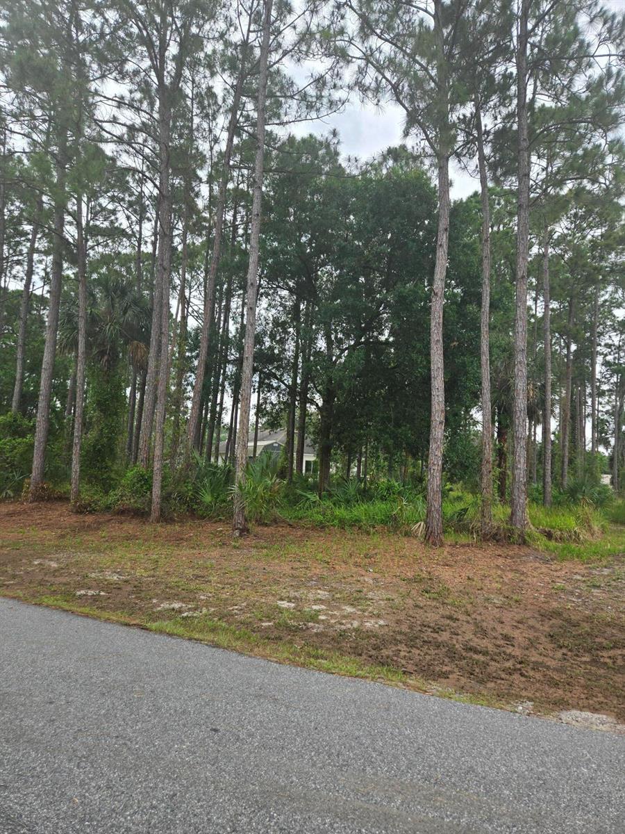   / 0  sq. ft. $ 2026-06-15 0 foto