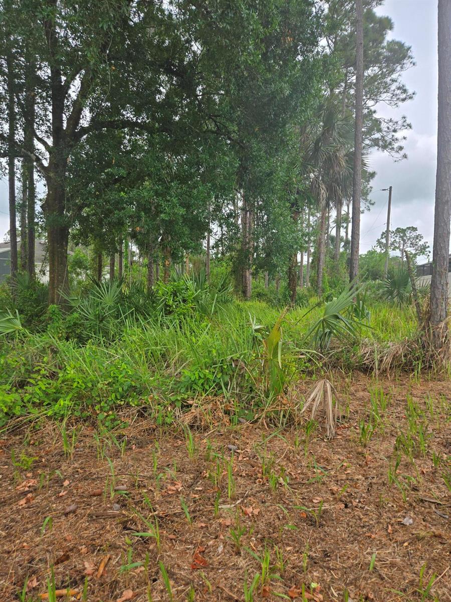   / 0  sq. ft. $ 2026-06-15 0 foto