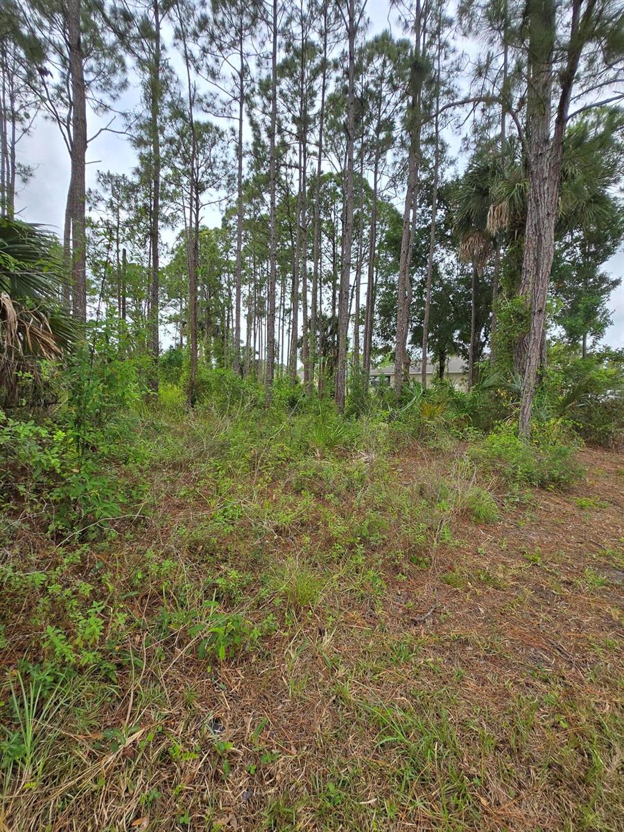   / 0  sq. ft. $ 2026-06-15 0 foto