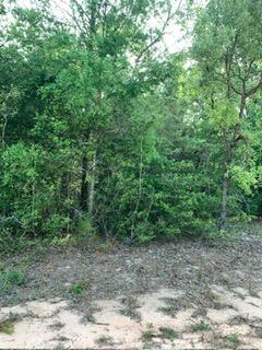   / 0  sq. ft. $ 2026-06-19 0 foto