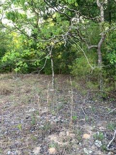   / 0  sq. ft. $ 2026-06-19 0 foto