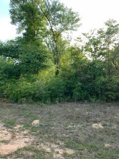   / 0  sq. ft. $ 2026-06-19 0 foto