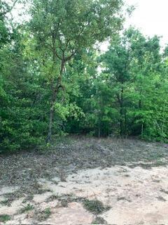   / 0  sq. ft. $ 2026-06-19 0 foto
