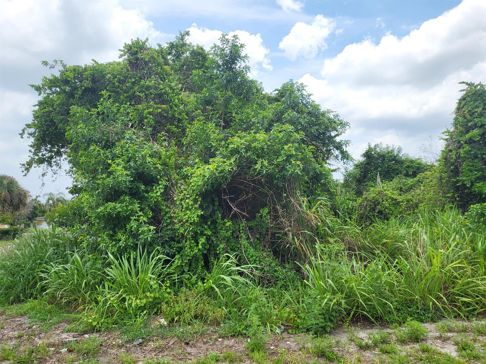 Ver detalles / 0 sq. ft. $ 2026-06-15 0 foto
